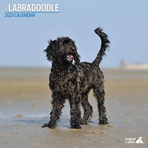 Magnet & Steel Traditioneller Kalender 2021.