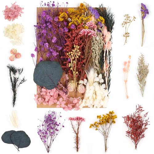 Trockenblumen Zum Basteln, Natürliche Gemischte Getrocknete Blumen, Trockenblumen Klein für DIY Epoxidharz Scrapbook Zubehör Handwerk Karten Machen (Magenta)