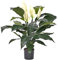 Spathiphyllum Kunstpflanze mit 5 Blüten und 29 Blätter, ca. 75cm hoch - Künstliche Friedenslilie blühend