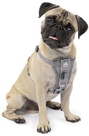 Kurgo Tru-Fit Smart Harness, Grey, Small | Dog Walking Harness with Quick Release Buckles, Front & Back Leash Attachments, Reflective Trim, Includes Seatbelt Tether