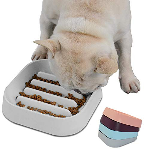 Hifrenchies Gamelle saine pour bouledogue français – Gamelle à alimentation lente pour chien et chat avec motif rayé (gris)