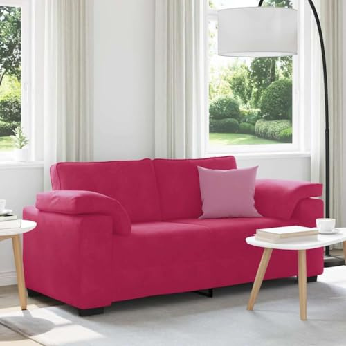 WDGJJFECNMUEHI Zweisitzer-Sofa Samt Rot 180 cm Breit Modernes Relaxsofa mit gepolsterten Sitzkissen für Wohnzimmer und Schlafzimmer, Weinrot, bequem und stilvoll