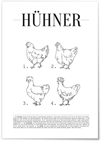 JUNIWORDS Poster mit/ohne Holzrahmen - Wähle ein Motiv - Hühner - Wähle eine Größe - 30 x 40 cm (M) ohne Rahmen
