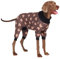 Spark Paws Hundepyjama, ultraweich und 4-Wege-Stretch, Erholungsanzug nach Operation, Schlafanzug Onesie für Kleine, Mittlere und Große Hunde - Bear Black - XL