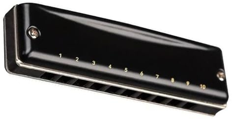 10-Loch-C-Key-Blues-Mundharmonika, professionelle Orgelspielinstrumententafel mit mattem Design Mundharmonika-Set