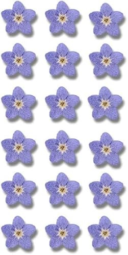 Blaue Vergissmeinnicht Blumen für Myosostis Sylvatica getrocknete gepresste Blumen für Harz, Seifenherstellung, Scrapbooking, Kerzen, Epoxidharz, DIY-Kunsthandwerk, 20 Stück