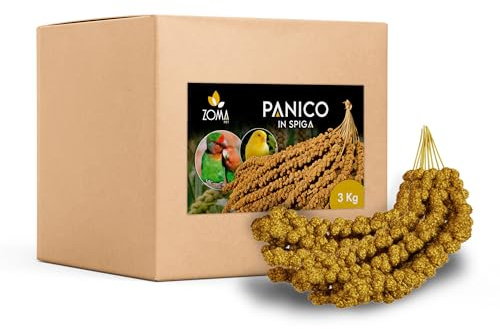 ZOMAPET spighe di panico per pappagalli 3Kg, mangime pappagalli naturale ideale anche per cocorite e uccelli esotici - Made in italy