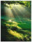 ARTland Wanddeko Wandbild Alu Verbundplatte für Innen & Outdoor Bild 60x80 cm Natur Landschaft Wald Sonne Wiese Landhaus Modern T5XX