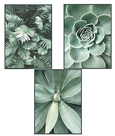 SWECOMZE Premium Poster 3er Set, Wandbilder Collage Kunstposter, OHNE Rahmen, Palmblatt Blätter Pflanze, Print Bilder Wandposter Posterset Home Deko (Sukkulenten,30 x 40 cm)