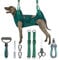 HealthPet Pro Dog Grooming Hammock for Large Dogs Including Dog Accessories Including Dog Nail Clippers, Dematting Comb, Nail File and Scissor - Dog and Cat Hammock for Grooming (Extra Large)