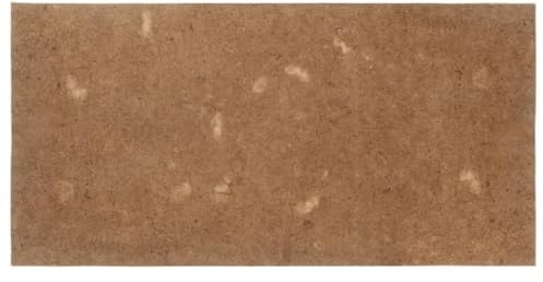 vidaXL Matratzenauflage, Bettauflage mit guter Luftzirkulation, Kokosfasermatte für Matratzen, Kokosmatte Schoner, 100x200cm Kokosfasern