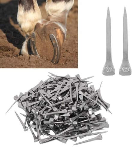Nikou Clavos de herradura - 250 piezas de equipo deportivo ecuestre de alta resistencia E3 estable para clavos de acero para caballos