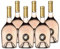 Côtes de Provence Rosé 2020 - Miraval - Vin AOC Rosé de Provence - Lot de 6x75cl - Cépages Cinsault, Rolle