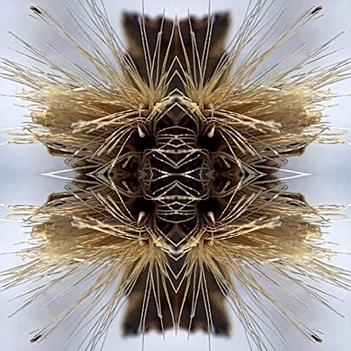 Svart Records (Spv)