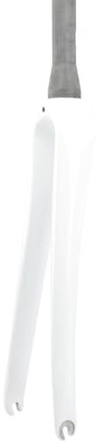 TOTLAC Fourche Rigide pour vélo de Route 700C, Fourche en Fibre de Carbone, Tube Conique de 1-1/2, Fourche Avant à dégagement Rapide de 100 mm, Frein C, 377 g (Couleur : Blanc)