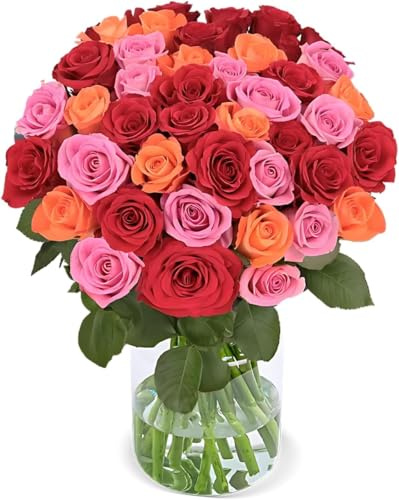 Blume Ideal Rosenstrauß | 15 Rosen - Rosenbeet | Ø 40–50 cm | Echte Premium Rosen für Hochzeit & Deko | 7 Tage Frischegarantie | In verschiedenen Farben und Mengen