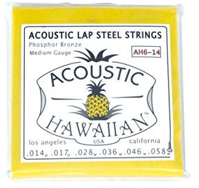 Asher Akustische Hawaiian Lap Stahl Saiten, Single Set
