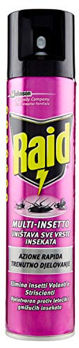 Raid Spray Multinsetto, Insetticida Spray, 1 Confezione da 300 ml
