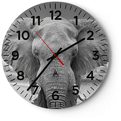 Modern Wanduhr Elefant Afrika Tier 40x40cm Rund Groß Wand Uhr Glas Analog Zimmeruhren Küche Büro Wohnzimmer Glasuhr Wall Clock Dekoration Design Wanddekoration Küchenuhr C4AR40x40-5072
