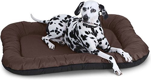 Knuffelwuff Wasserfestes In und Outdoor Hundebett Lucky aus Nylongewebe L 70 x 46cm Braun - abnehmbarer Bezug - waschbar - für große, mittelgroße und kleine Hunde