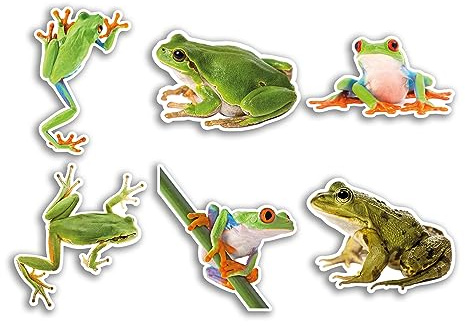 6 x 10 cm Frosch Vinyl Aufkleber – Baum Rote Augen Lustiges Tiermuster Natur Haustiere Gesicht Wild Mädchen Jungen Reise Scrapbooking #80817