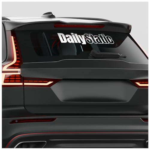 Finest Folia Frontscheibenaufkleber Schriftzug Daily Static Aufkleber für Windschutzscheibe Heckscheibe Frontscheibe Auto Fahrzeug Dekor Sticker FS140 (Weiß Glanz, Innenklebend)