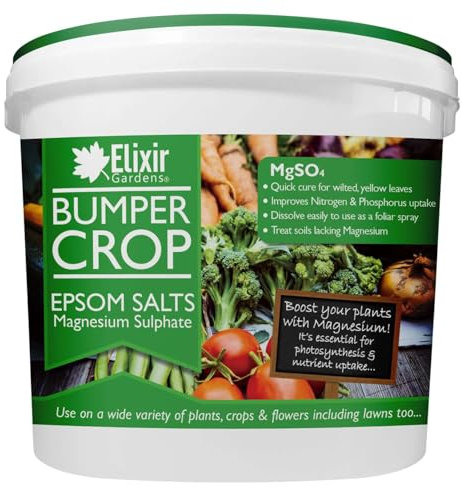 Elixir Gardens Magnesium Sulphate Epsom Salts | Ready To Use Gardening Fertiliser MgSo4 | 1kg Tub | 100g - 25kg