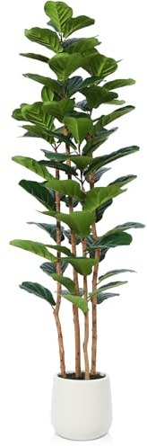 Kazeila Künstliche Geigenfeige 180cm, Ficus Lyrata mit weißem Topf | 4 Naturholzstämme, große Blätter, weißes Pflanzgefäß, pflegeleicht, für Wohnzimmer Büro Indoor, nicht sonnenfest