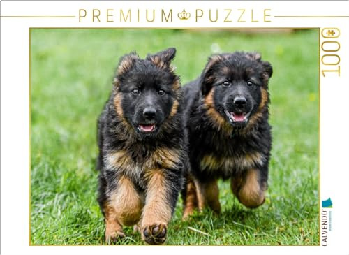 CALVENDO Puzzle Welpen 8 Wochen | 1000 Teile Lege-Größe 64 x 48 cm Foto-Puzzle für glückliche Stunden