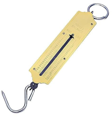 SDMAX Spring Balance Hanging Hook Scale, Handheld, Portable Pocket Balance Scale, Lightweight, Weight Scale With Hook For Home, School, Luggage, Fishing Use (25 Kg)