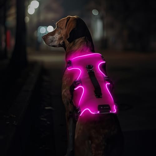 Jewyow Hundegeschirr Leuchtend, Wiederaufladbare LED Hundegeschirr, Led Geschirr für Hunde mit Weicher Griff, 3 Einstellbare Modus, Wasserdicht für Mittelgroße, Große Hund,Rosa-XL