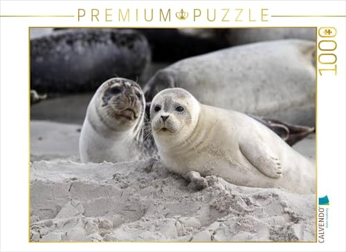 CALVENDO Puzzle Kegelrobben | 1000 Teile Lege-Größe 64 x 48 cm Foto-Puzzle für glückliche Stunden