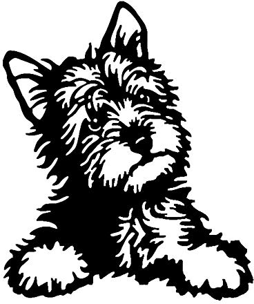 EROSPA® Aufkleber/Sticker KFZ Auto Motorrad - Deutscher Schäferhund Dog - Car-Sticker (Schwarz)