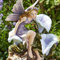 Garden Mile® Novelty Magical Fairy Water Fountain - Solar Powered Liliana Fairy Colour Mythical Water Feature - Garden Ornaments Outdoor Statue Decorative Centrepiece for Pond, Patio and Lawn Decor