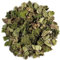 Melisa Orgánica Infusión Hojas - Limón Dulce - Melissa Officinalis - Toronjil - Limoncillo - Melisa Hoja Limón -
