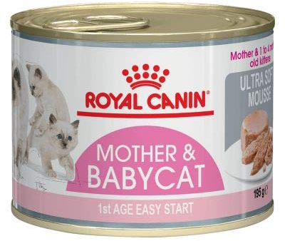 Royal Canin First Age Mother & Babycat Mousse 6 x 195g