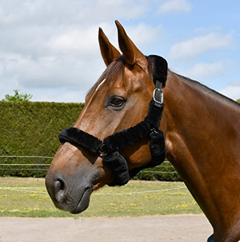 Rhinegold Halfter mit Pelzbesatz, Pony, Schwarz