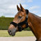 Rhinegold Halfter mit Pelzbesatz, Pony, Schwarz