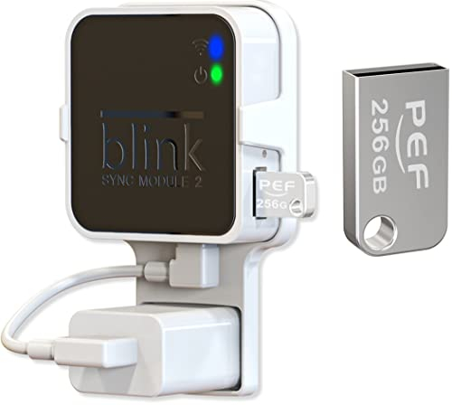 256 GB Blink-USB-Flash-Laufwerk und Steckdosen-Wandhalterung für Blink-Sync-Modul 2, platzsparend für Blink-Sicherheitskamera für den Innen- und Außenbereich (Blink-Sync-Modul 2 ist nicht im