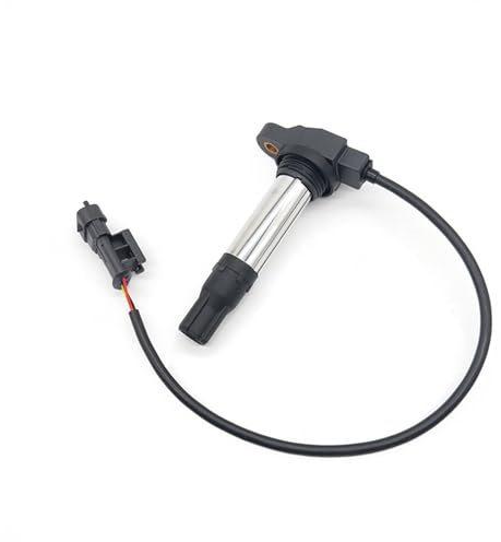 QASULER Zündspule 38010144B,38010145B, for KTM, 790 821 Motorrad-Zündspule