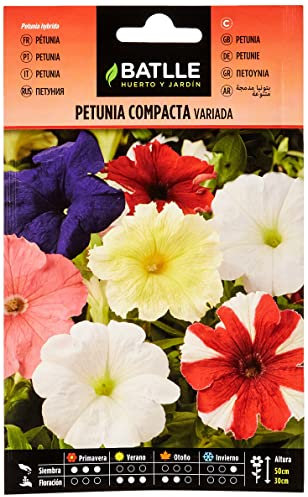 Semillas Batlle - Petunia Compacta VARIADA, Multicolor