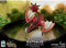 Animegami Chibi - Monster Hunter PVC (Rathalos) PVC Figurine
