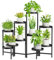 iDavosic.ly Pflanzenständer Metall mit 10 Etagen, Blumenständer Pflanzenregal Blumenregal Indoor Outdoor, Blumentreppen Innen Plant Stand Shelf für Garten Balkon Wohnzimmer (Rund, Schwarz)