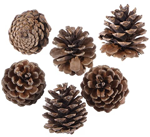 Cabilock 6st Tannenzapfen-dekor Rustikaler Weihnachtsschmuck Winter Tannenzapfen Ornamente Weihnachtliche Tannenzapfen-Ornamente Blumenvasen Tannenzapfen Handwerk Kiefernzapfen Baumschmuck