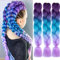 Kunsthaar Zum Einflechten Easy Braid Vorgedehnte Braids Extensions Lila/Blau/Hellviolett HaarverläNgerungen 24 Zoll 3packs Haar Zum Einflechten Braids ZopfverläNgerungen (Purple/Blue/Light Purple)