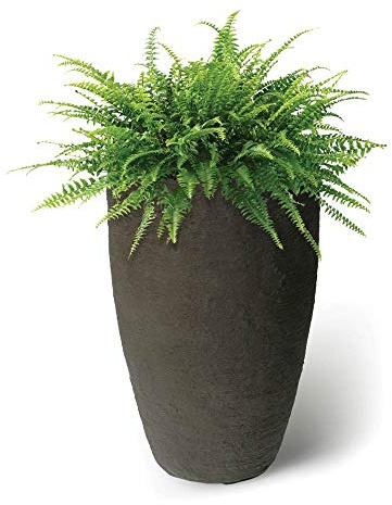 Algreen Products 87313 Athena Self-Watering Planter, Large, 17.5 DIA x 28.5 H, Brownstone