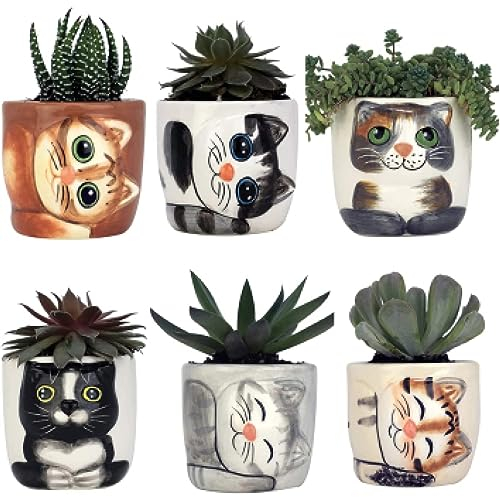 Window Garden Niedlicher Katzen-Übertopf – 6 Mini-7.6 cm Sukkulenten-Kätzchen-Töpfe – niedliche Blumentöpfe für Zimmerpflanzen – Katzen-Dekor-Vase für Kaktus, Kräuter, Katzenbesitzer, Geschenk-Set