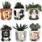 Window Garden Niedlicher Katzen-Übertopf – 6 Mini-7.6 cm Sukkulenten-Kätzchen-Töpfe – niedliche Blumentöpfe für Zimmerpflanzen – Katzen-Dekor-Vase für Kaktus, Kräuter, Katzenbesitzer, Geschenk-Set