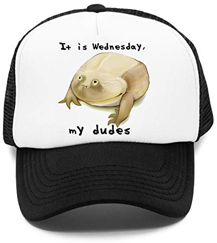 It is Wednesday My Dudes Kinder Kappe Baseball Rapper Cap