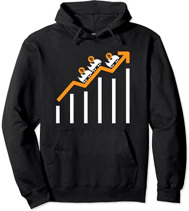 Bitcoin Kryptowährung Achterbahn BTC HODL Crypto Pullover Hoodie